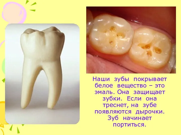 Наши зубы покрывает белое вещество – это эмаль. Она защищает зубки. Если она