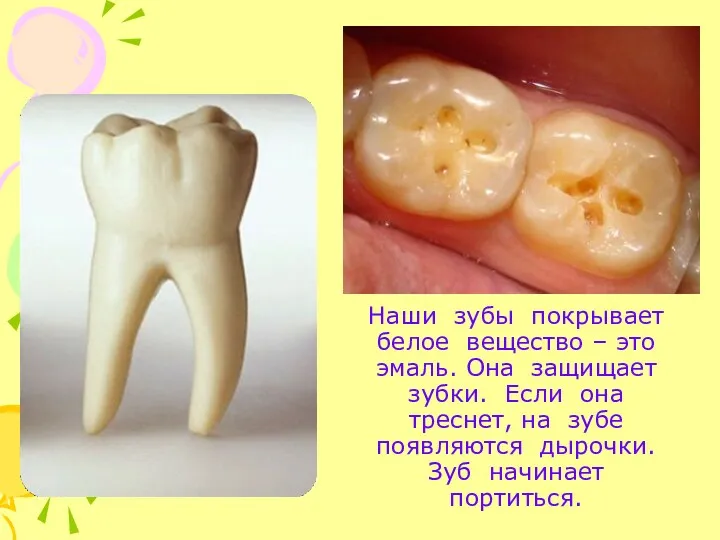 Наши зубы покрывает белое вещество – это эмаль. Она защищает