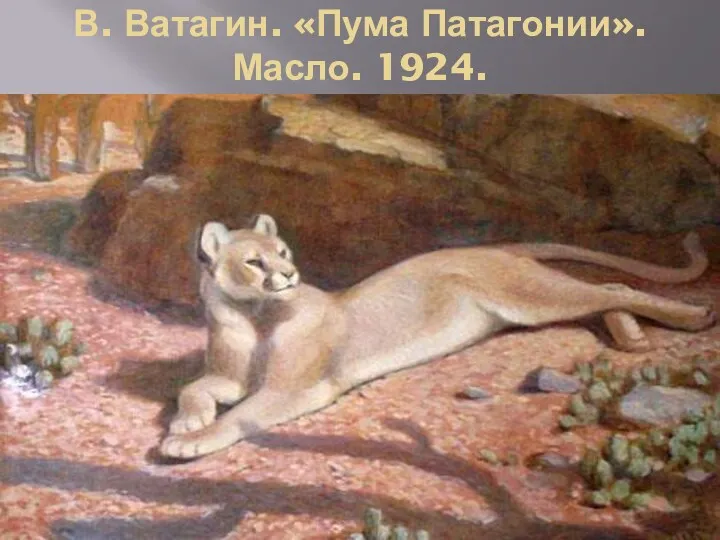 В. Ватагин. «Пума Патагонии». Масло. 1924.