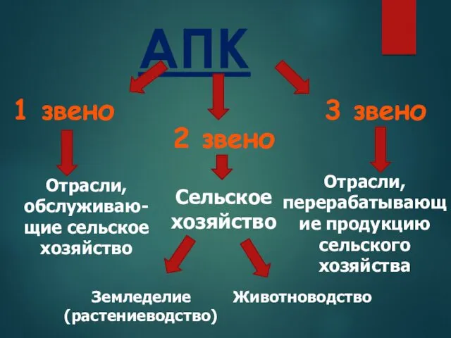 АПК 1 звено 2 звено 3 звено Отрасли, обслуживаю- щие