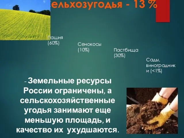 Сельхозугодья - 13 % - Земельные ресурсы России ограничены, а