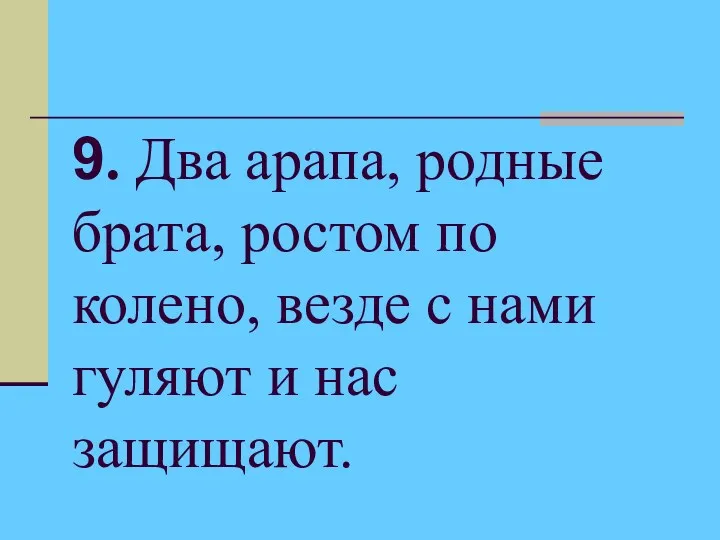 9. Два арапа, родные брата, ростом по колено, везде с нами гуляют и нас защищают.