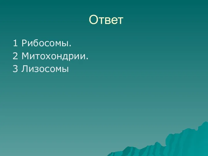 Ответ 1 Рибосомы. 2 Митохондрии. 3 Лизосомы