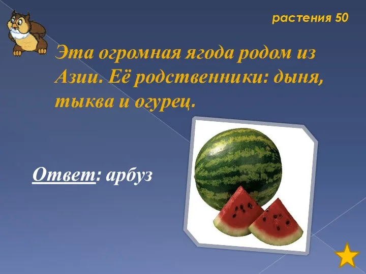 растения 50 Эта огромная ягода родом из Азии. Её родственники: дыня, тыква и огурец. Ответ: арбуз