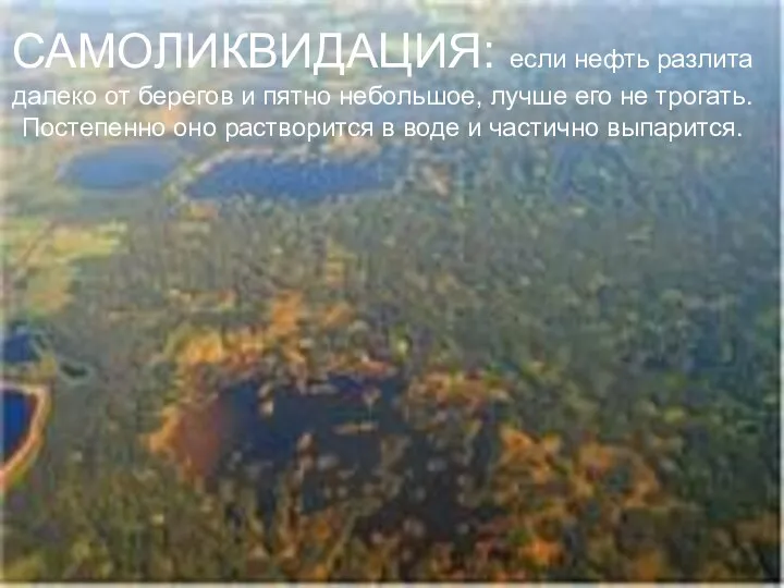 САМОЛИКВИДАЦИЯ: если нефть разлита далеко от берегов и пятно небольшое,