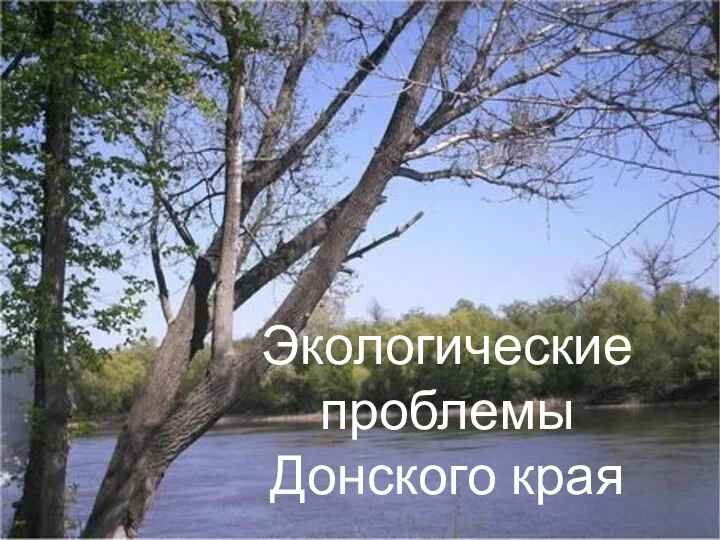 Экологические проблемы Донского края