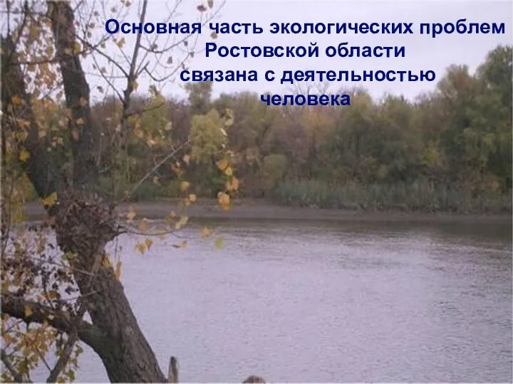 Основная часть экологических проблем Ростовской области связана с деятельностью человека