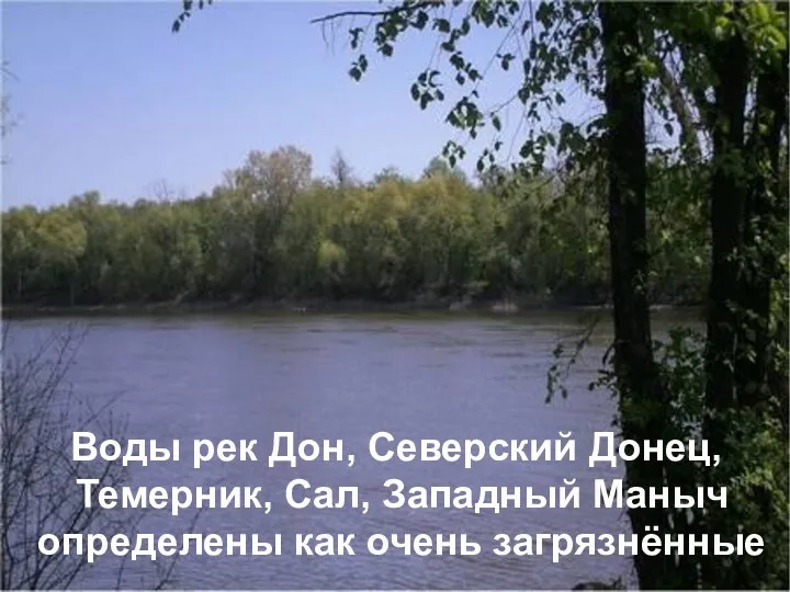 Воды рек Дон, Северский Донец, Темерник, Сал, Западный Маныч определены как очень загрязнённые
