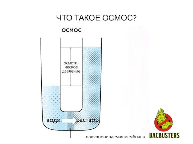 ЧТО ТАКОЕ ОСМОС?