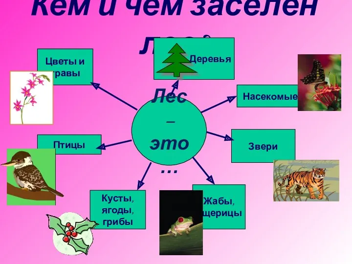 Лес – это… Кем и чем заселён лес? Цветы и