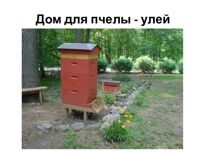 Дом для пчелы - улей