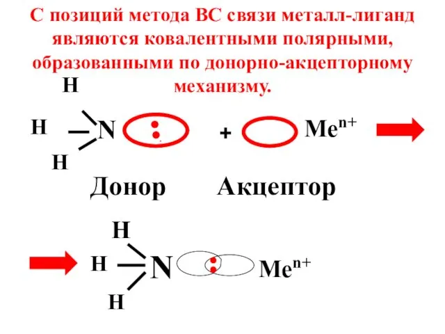 N H H H .●● Донор + Men+ Акцептор N