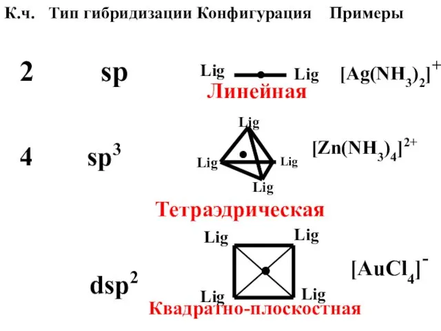 К.ч. Тип гибридизации Конфигурация Примеры 2 sp Lig Lig ●