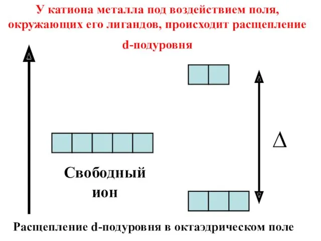 Свободный ион У катиона металла под воздействием поля, окружающих его