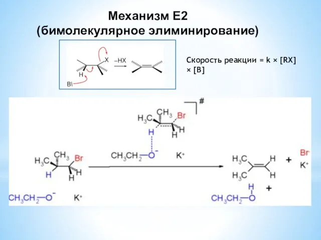 Механизм Е2 (бимолекулярное элиминирование) Скорость реакции = k × [RX] × [В]