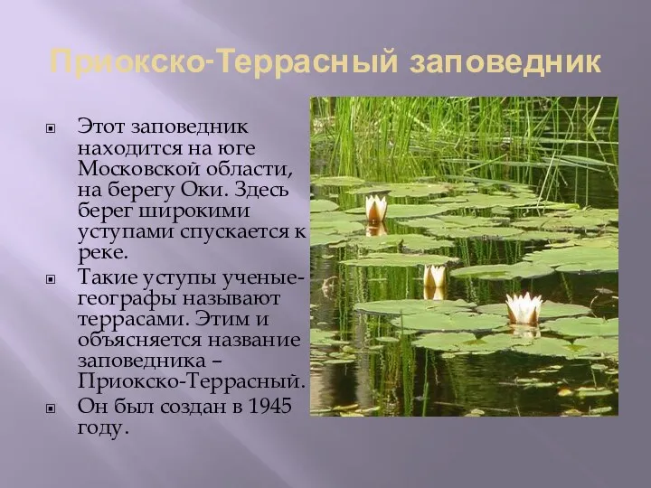 Приокско-Террасный заповедник Этот заповедник находится на юге Московской области, на берегу Оки. Здесь