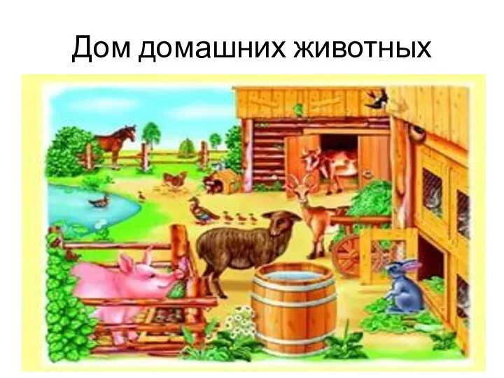 Дом домашних животных