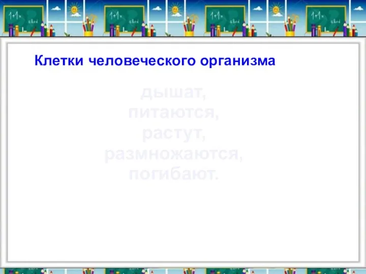 Клетки человеческого организма дышат, питаются, растут, размножаются, погибают.