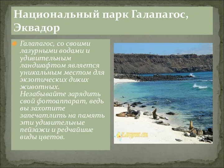 Национальный парк Галапагос, Эквадор Галапагос, со своими лазурными водами и удивительным ландшафтом является