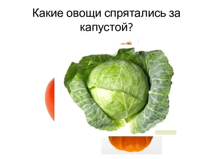 Какие овощи спрятались за капустой?