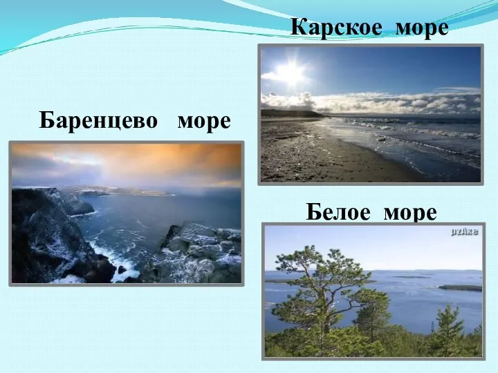 Белое море Баренцево море Карское море