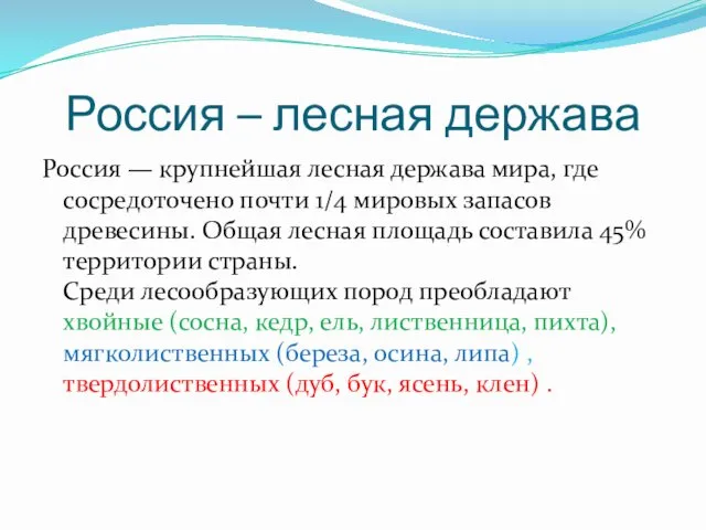 Россия – лесная держава Россия — крупнейшая лесная держава мира, где сосредоточено почти