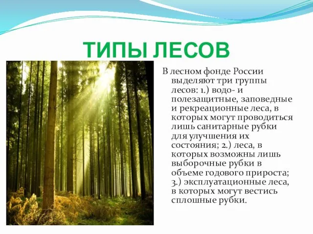 ТИПЫ ЛЕСОВ В лесном фонде России выделяют три группы лесов: