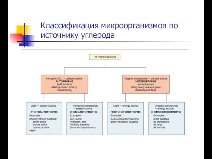 Классификация микроорганизмов по источнику углерода