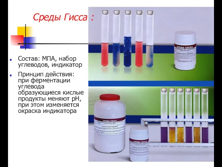 Состав: МПА, набор углеводов, индикатор Принцип действия: при ферментации углевода