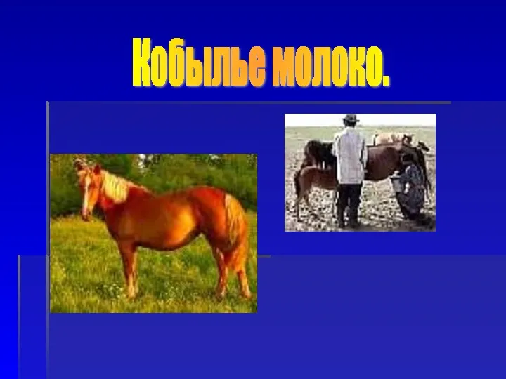 Кобылье молоко.