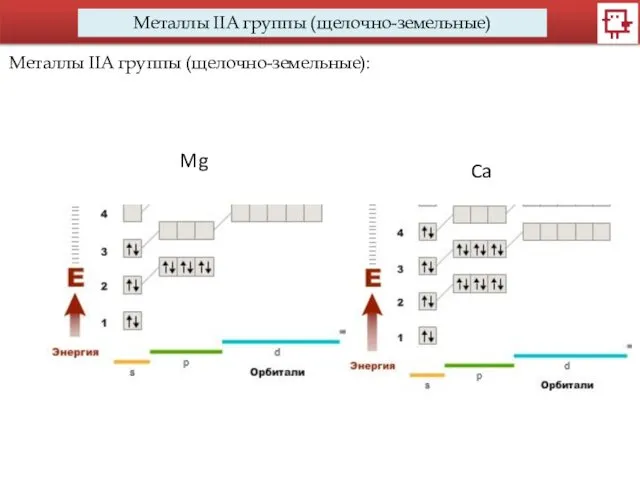 Металлы IIA группы (щелочно-земельные) Металлы IIA группы (щелочно-земельные): Mg Ca