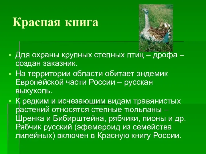 Красная книга Для охраны крупных степных птиц – дрофа – создан заказник. На