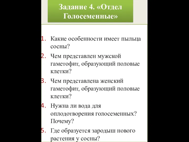 Задание 4. «Отдел Голосеменные» Какие особенности имеет пыльца сосны? Чем