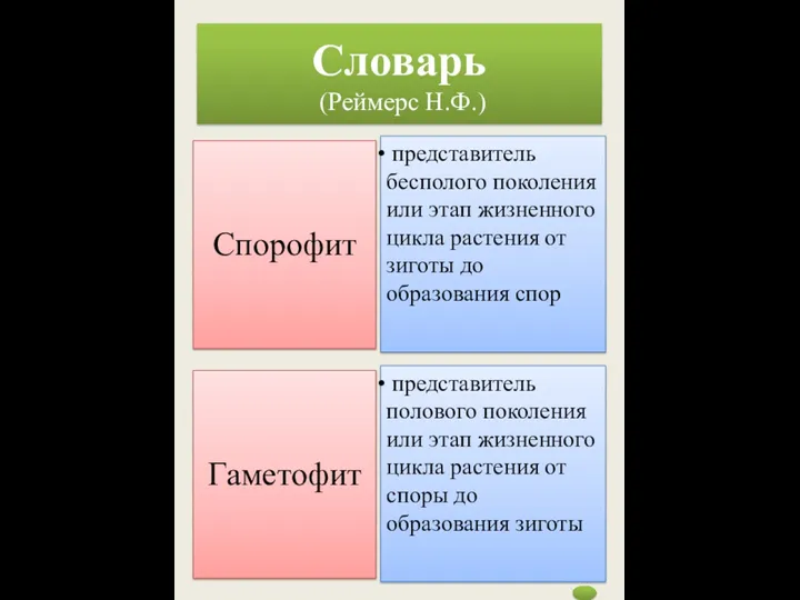 Словарь (Реймерс Н.Ф.)