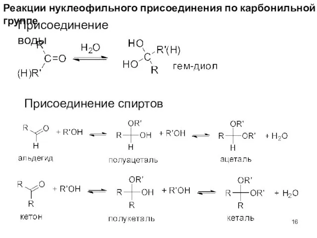 Реакции нуклеофильного присоединения по карбонильной группе Присоединение воды Присоединение спиртов