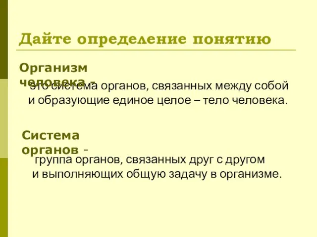 Дайте определение понятию это система органов, связанных между собой и