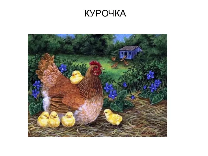 КУРОЧКА