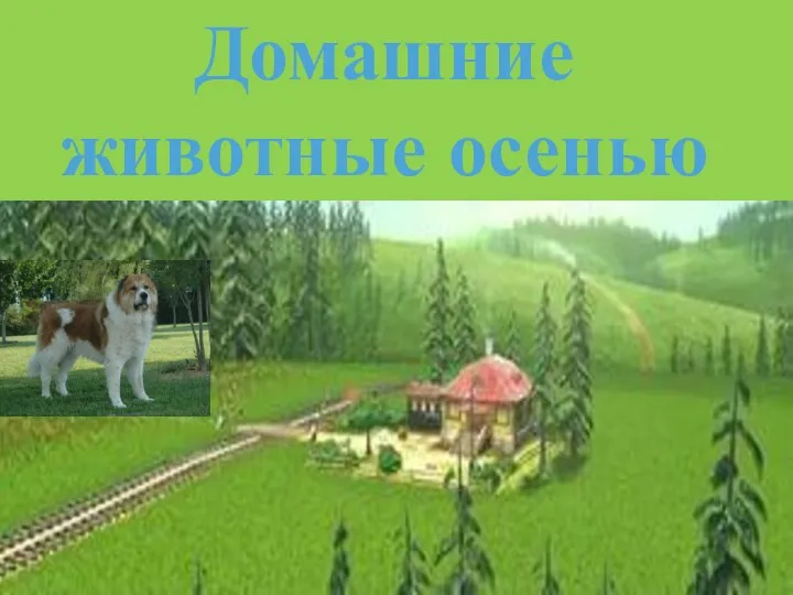 Домашние животные осенью