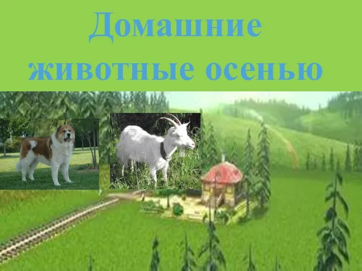 Домашние животные осенью