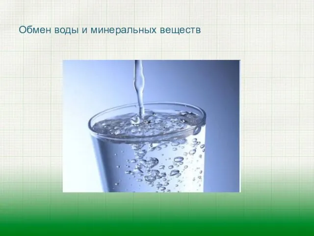 Обмен воды и минеральных веществ