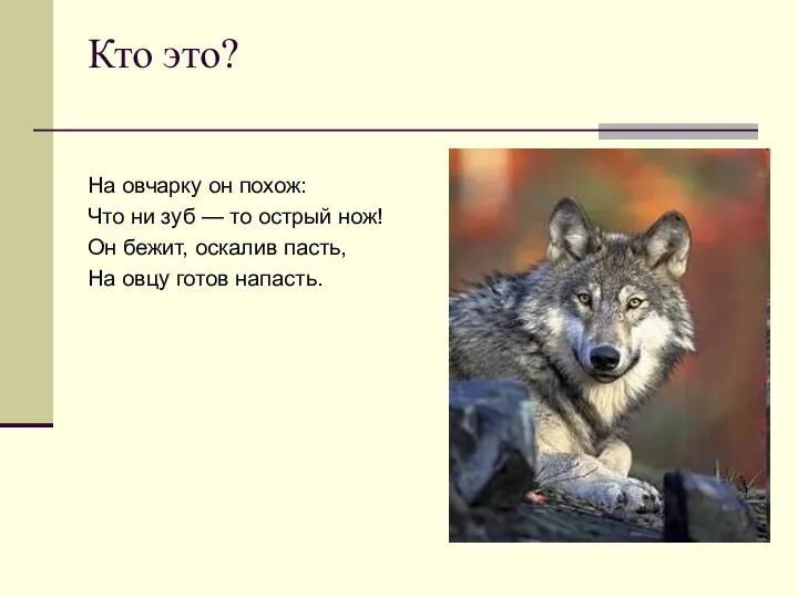 Кто это? На овчарку он похож: Что ни зуб — то острый нож!