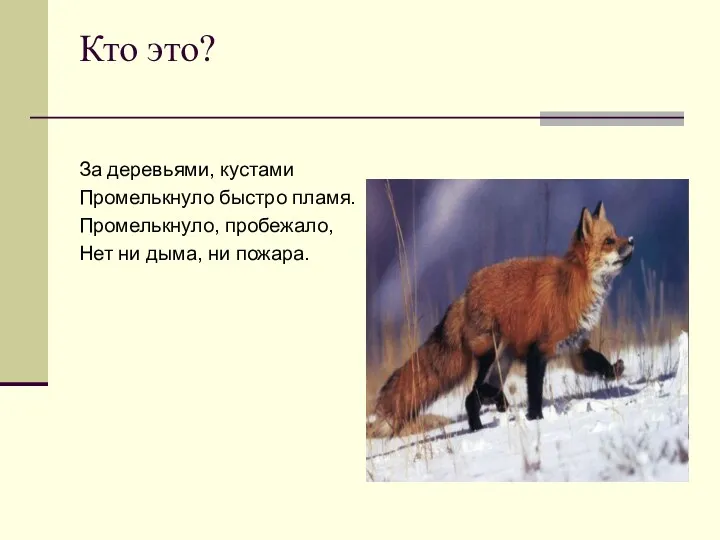 Кто это? За деревьями, кустами Промелькнуло быстро пламя. Промелькнуло, пробежало, Нет ни дыма, ни пожара.