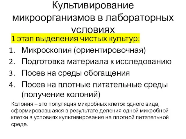 Культивирование микроорганизмов в лабораторных условиях 1 этап выделения чистых культур: