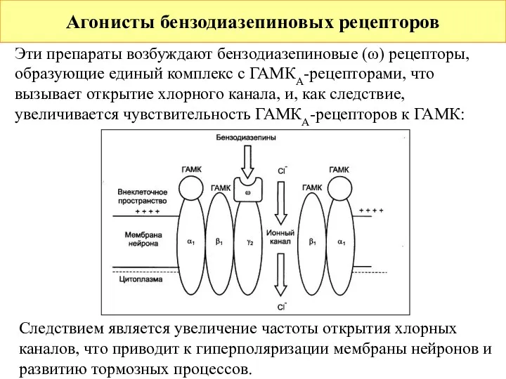 Агонисты бензодиазепиновых рецепторов Эти препараты возбуждают бензодиазепиновые (ω) рецепторы, образующие единый комплекс с