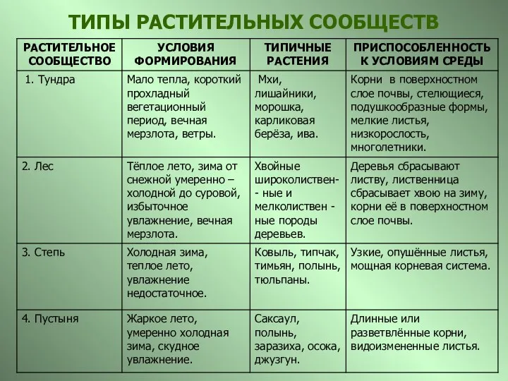 ТИПЫ РАСТИТЕЛЬНЫХ СООБЩЕСТВ