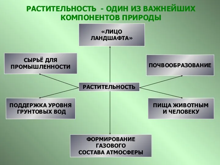 РАСТИТЕЛЬНОСТЬ «ЛИЦО ЛАНДШАФТА» ПОЧВООБРАЗОВАНИЕ ПИЩА ЖИВОТНЫМ И ЧЕЛОВЕКУ ПОДДЕРЖКА УРОВНЯ