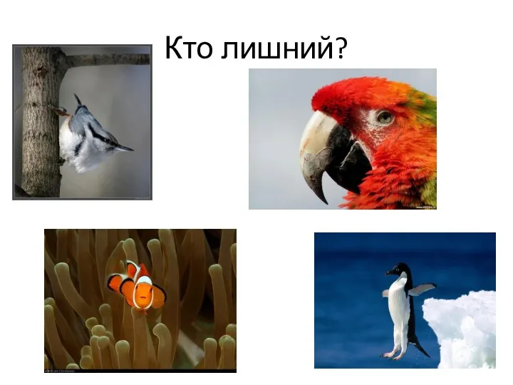 Кто лишний?