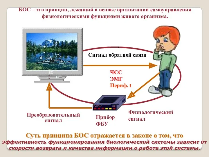 Сигнал обратной связи Прибор ФБУ ЧСС ЭМГ Периф. t БОС