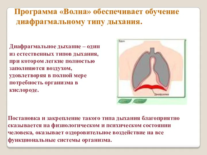 Программа «Волна» обеспечивает обучение диафрагмальному типу дыхания. Диафрагмальное дыхание –