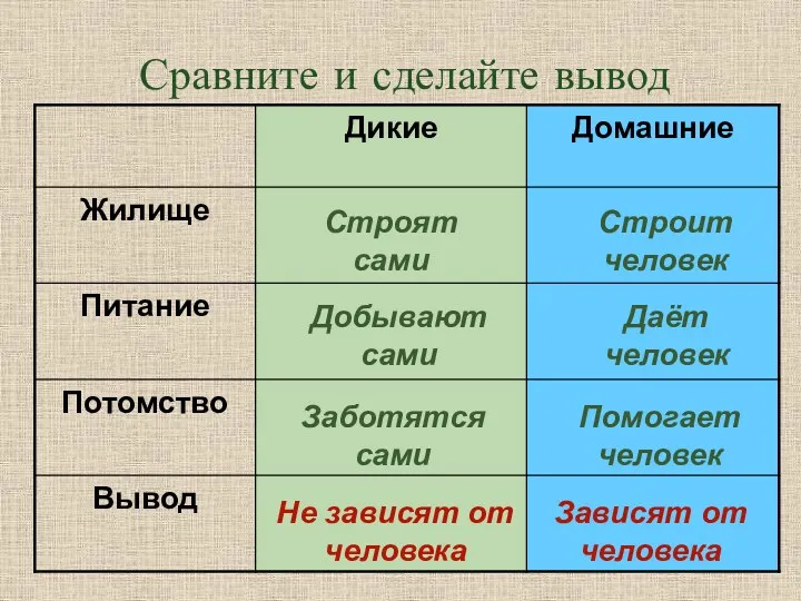 Сравните и сделайте вывод Строят сами Заботятся сами Даёт человек